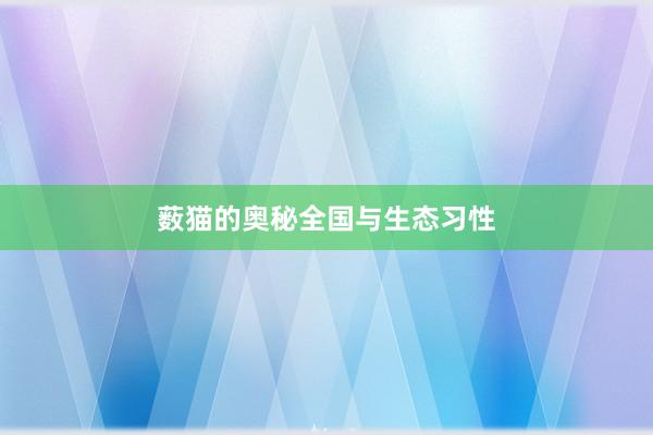 薮猫的奥秘全国与生态习性